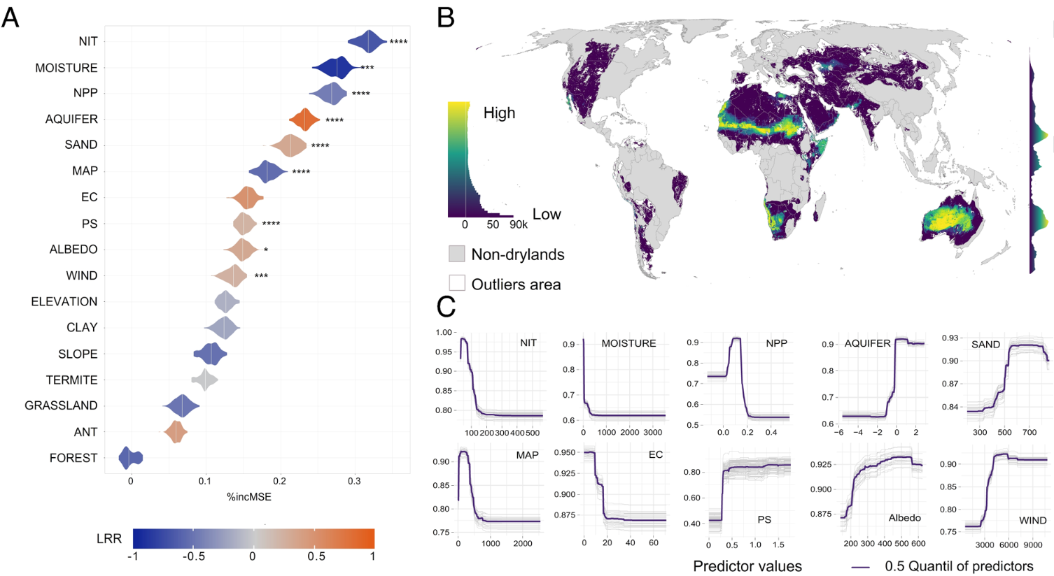 The Global Biogeography And Environmental Drivers Of Fairy Circles ...